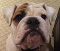 OSCAR's Avatar
